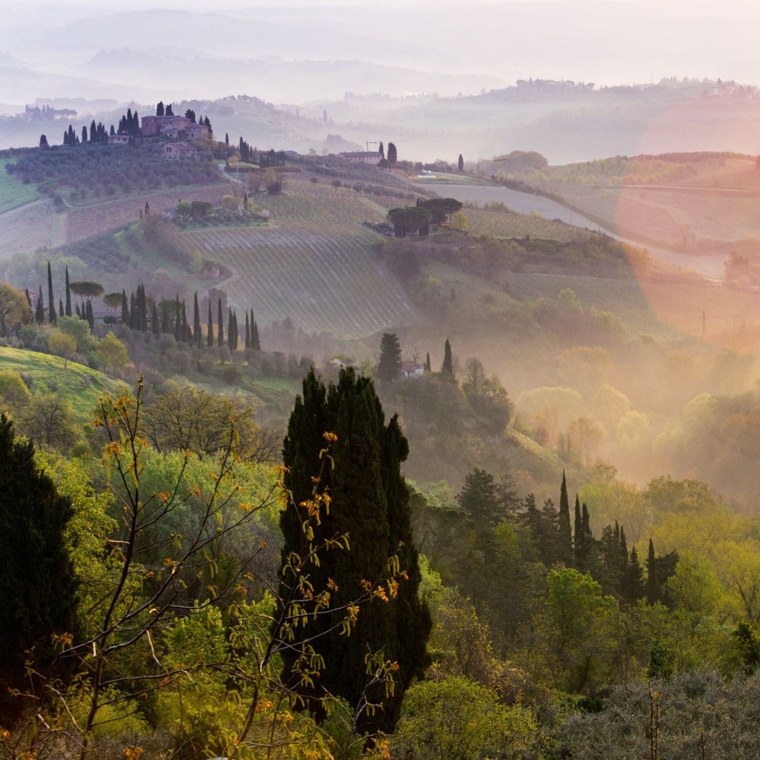 Vini Toscana