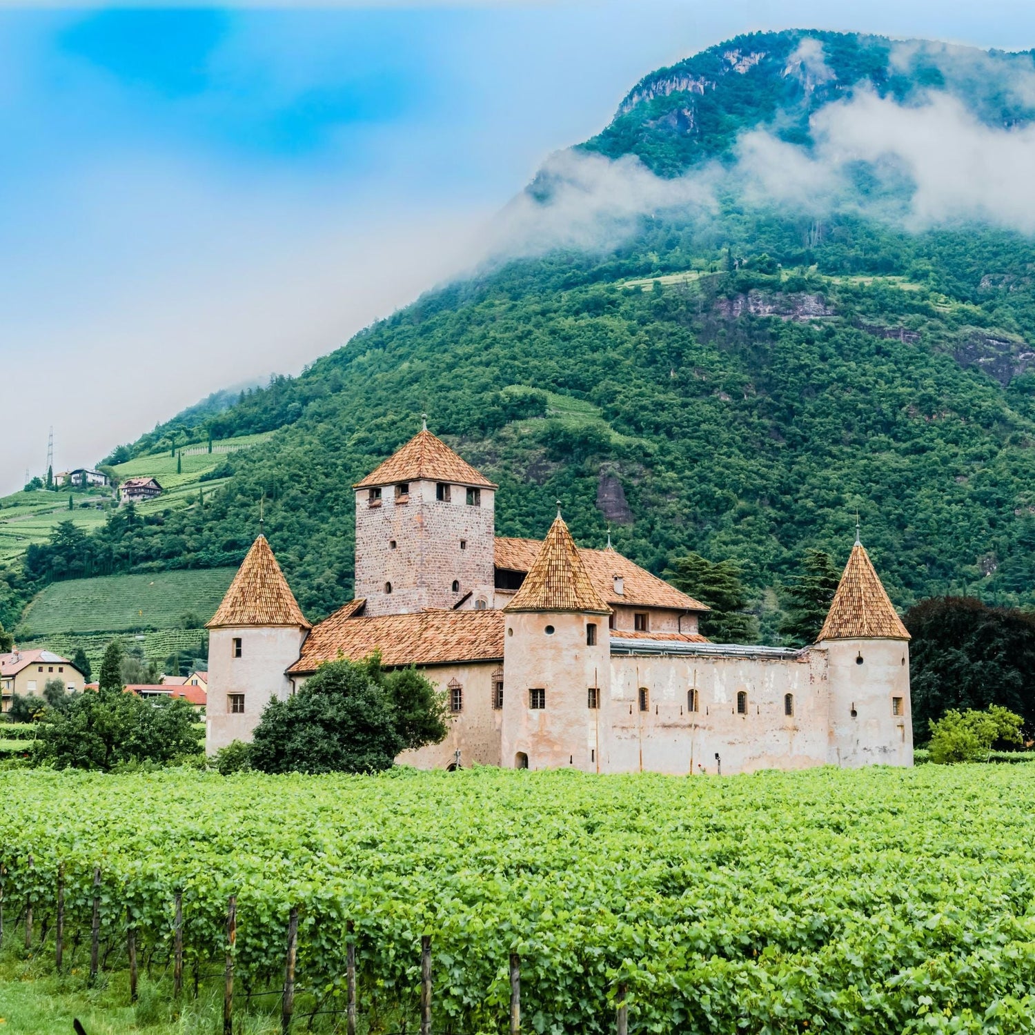 Vini Trentino - Alto Adige