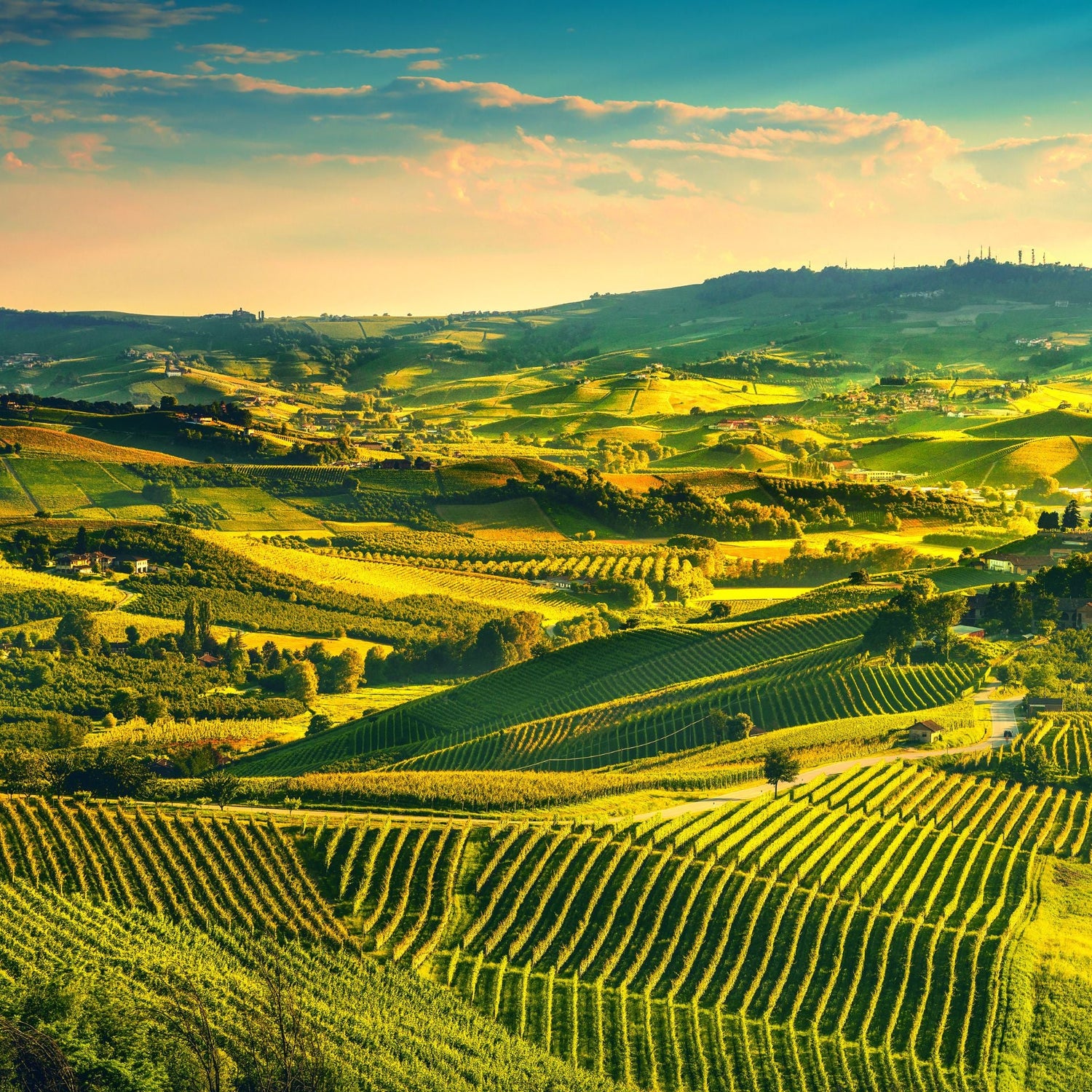 Vini Piemonte