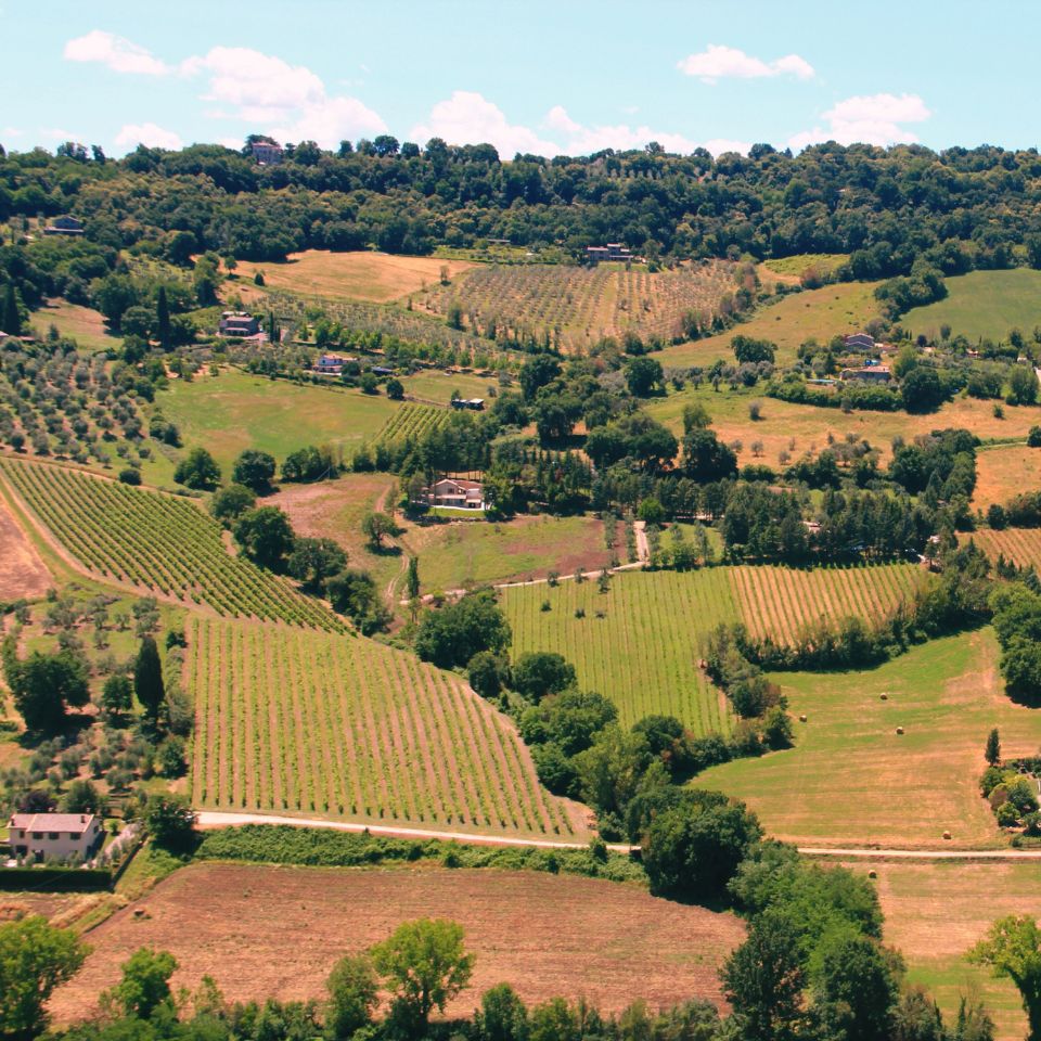 Vini Umbria