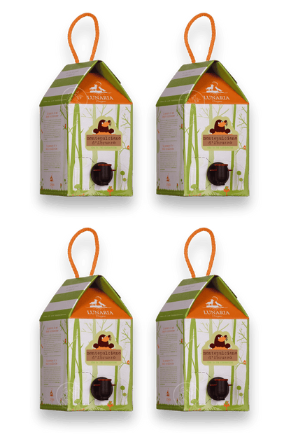 Cartone da 4 Bag in Box Lunaria Orsogna Montepulciano d’Abruzzo Bio